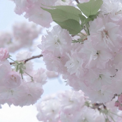 Furry绘画色彩技巧兽圈群